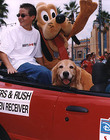 Filename=1998.jpg
Filesize=62KiB
Dimensions=500x398
Date added=Dec 31, 2023 1998.jpg