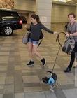 2013-08-16_28329.jpg