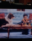 1993_-_Life_With_Mikey_mp40512.jpg