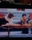1993_-_Life_With_Mikey_mp40513.jpg