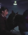 1995_-_The_Silence_of_Adultery_mp41229.jpg