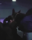 1995_-_The_Silence_of_Adultery_mp41231.jpg