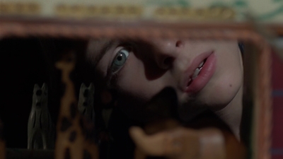 The_X-Files_S03E11_mp40941.jpg