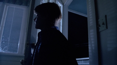The_X-Files_S03E11_mp41208.jpg