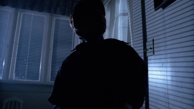 The_X-Files_S03E11_mp41213.jpg