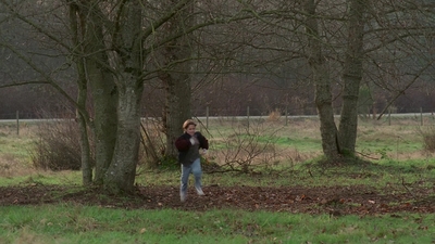 The_X-Files_S03E11_mp41777.jpg