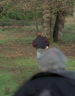 Filename=The_X-Files_S03E11_mp41775.jpg
Filesize=1331KiB
Dimensions=1920x1080
Date added=Dec 29, 2023 The_X-Files_S03E11_mp41775.jpg