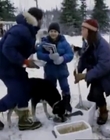 1996_-_The_Cold_Heart_of_a_Killer_mp40297.jpg