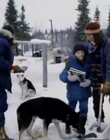 1996_-_The_Cold_Heart_of_a_Killer_mp40298.jpg