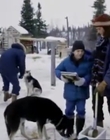 1996_-_The_Cold_Heart_of_a_Killer_mp40300.jpg
