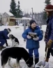 1996_-_The_Cold_Heart_of_a_Killer_mp40301.jpg