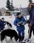 1996_-_The_Cold_Heart_of_a_Killer_mp40303.jpg