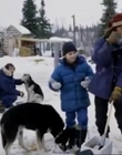 1996_-_The_Cold_Heart_of_a_Killer_mp40306.jpg