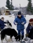 1996_-_The_Cold_Heart_of_a_Killer_mp40307.jpg