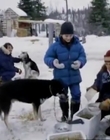 1996_-_The_Cold_Heart_of_a_Killer_mp40309.jpg