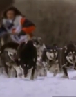 Filename=1996_-_The_Cold_Heart_of_a_Killer_mp45114.jpg
Filesize=198KiB
Dimensions=960x713
Date added=Dec 29, 2023 1996_-_The_Cold_Heart_of_a_Killer_mp45114.jpg