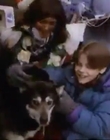 1996_-_The_Cold_Heart_of_a_Killer_mp45157.jpg