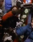 1996_-_The_Cold_Heart_of_a_Killer_mp45159.jpg