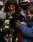 Filename=1996_-_The_Cold_Heart_of_a_Killer_mp45166.jpg
Filesize=236KiB
Dimensions=960x713
Date added=Dec 29, 2023 1996_-_The_Cold_Heart_of_a_Killer_mp45166.jpg