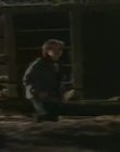 Filename=Traders_S02E13_mp45914.jpg
Filesize=108KiB
Dimensions=848x480
Date added=Dec 29, 2023 Traders_S02E13_mp45914.jpg