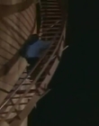 Filename=Traders_S02E13_mp45923.jpg
Filesize=94KiB
Dimensions=848x480
Date added=Dec 29, 2023 Traders_S02E13_mp45923.jpg