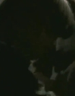 Filename=Traders_S03E02_mp47653.jpg
Filesize=60KiB
Dimensions=848x480
Date added=Dec 29, 2023 Traders_S03E02_mp47653.jpg