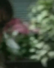 Filename=Traders_S03E02_mp47699.jpg
Filesize=130KiB
Dimensions=848x480
Date added=Dec 29, 2023 Traders_S03E02_mp47699.jpg