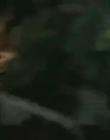 Traders_S03E02_mp47700.jpg