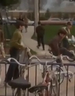 Filename=1997_-_A_Call_to_Remember_-_22_minutes_only_mp40677.jpg
Filesize=50KiB
Dimensions=320x240
Date added=Dec 29, 2023 1997_-_A_Call_to_Remember_-_22_minutes_only_mp40677.jpg