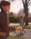 ctrem009.jpg