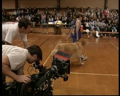 B-roll_2815529.jpg