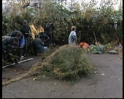 B-roll_2833929.jpg