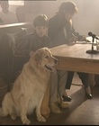 B-roll_2810629.jpg