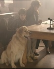B-roll_2810829.jpg