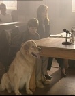 B-roll_2811529.jpg