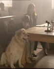 B-roll_2811629.jpg
