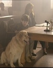 B-roll_2811929.jpg