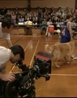 B-roll_2815629.jpg