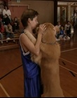 Filename=B-roll_2819729.jpg
Filesize=93KiB
Dimensions=720x576
Date added=Dec 29, 2023 B-roll_2819729.jpg