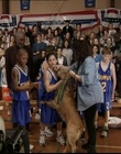 Filename=B-roll_2822729.jpg
Filesize=136KiB
Dimensions=720x576
Date added=Dec 29, 2023 B-roll_2822729.jpg