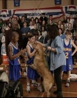 Filename=B-roll_2823029.jpg
Filesize=135KiB
Dimensions=720x576
Date added=Dec 29, 2023 B-roll_2823029.jpg