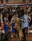 Filename=B-roll_2823129.jpg
Filesize=131KiB
Dimensions=720x576
Date added=Dec 29, 2023 B-roll_2823129.jpg