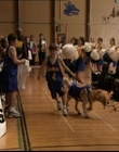 Filename=B-roll_2823929.jpg
Filesize=113KiB
Dimensions=720x576
Date added=Dec 29, 2023 B-roll_2823929.jpg