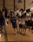 Filename=B-roll_2824029.jpg
Filesize=113KiB
Dimensions=720x576
Date added=Dec 29, 2023 B-roll_2824029.jpg