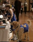 Filename=B-roll_2824529.jpg
Filesize=112KiB
Dimensions=720x576
Date added=Dec 29, 2023 B-roll_2824529.jpg