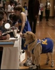 Filename=B-roll_2824629.jpg
Filesize=110KiB
Dimensions=720x576
Date added=Dec 29, 2023 B-roll_2824629.jpg