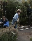 B-roll_2833029.jpg