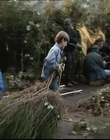 B-roll_2833129.jpg
