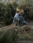 B-roll_2833229.jpg