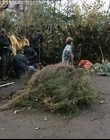 B-roll_2833829.jpg